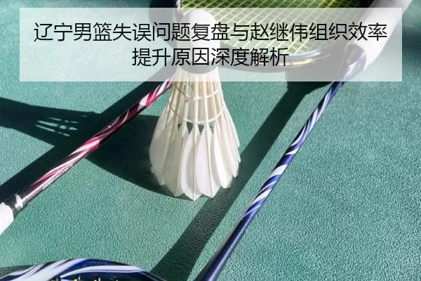 辽宁男篮失误问题复盘与赵继伟组织效率提升原因深度解析
